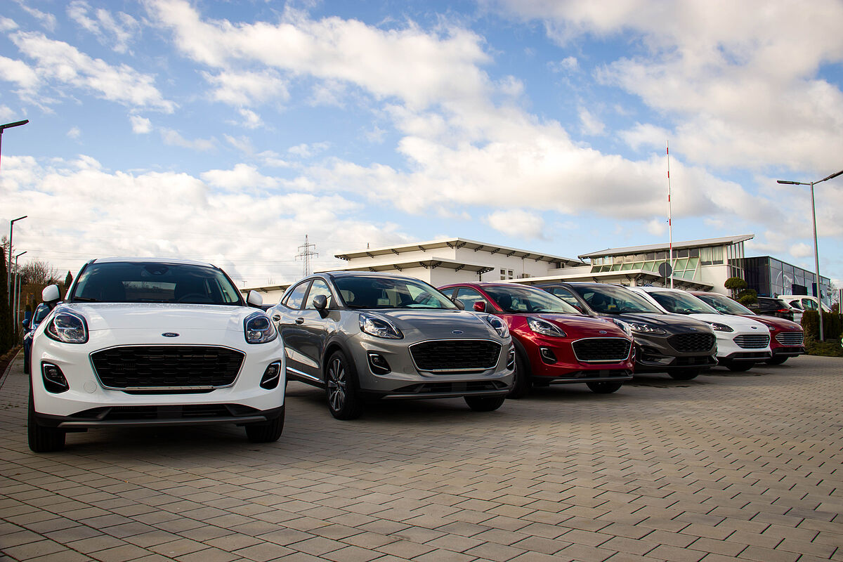 Frontansicht mehrerer Ford Modelle von vorne